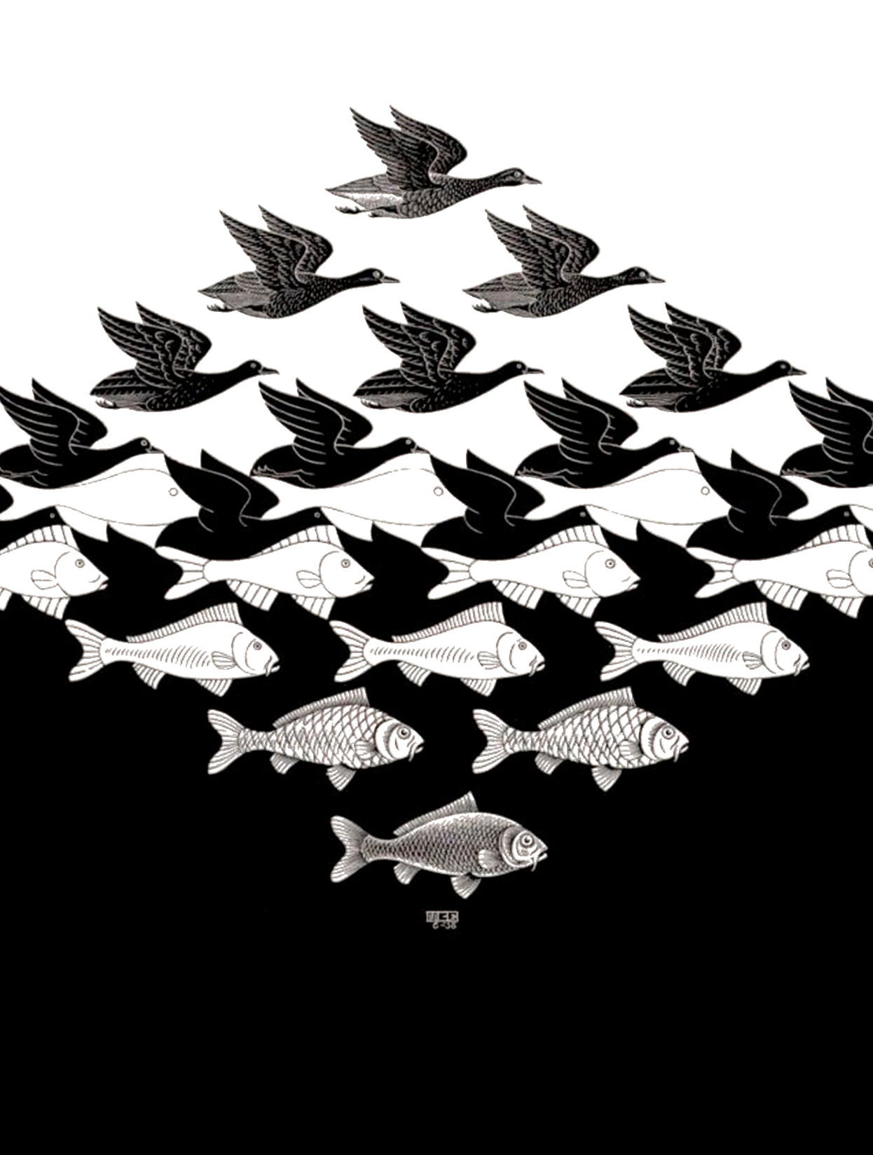 Escher's Fish