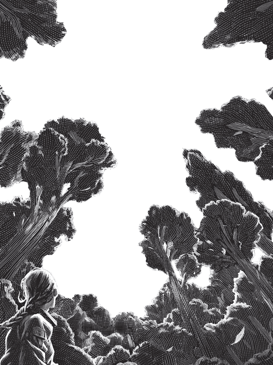 Hunger Games Illustration for Other wallpaper featuring forest and png and more