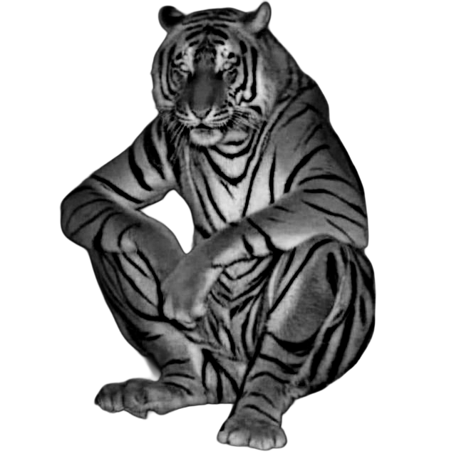 Meme - Tiger "thak gaya sher" for Other wallpaper featuring sitting and digital art and more